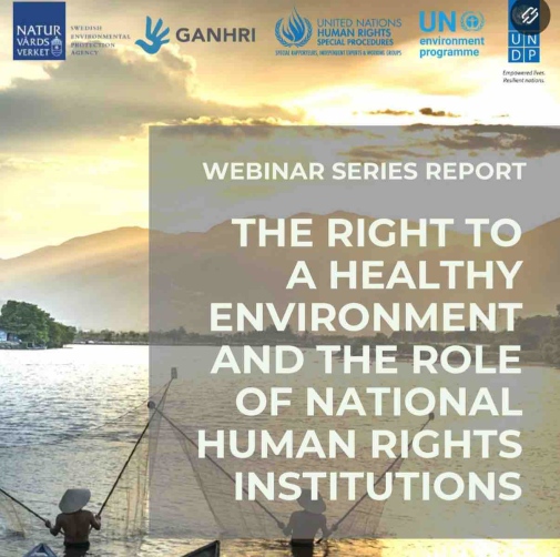 UNDP report
